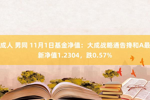 成人 男同 11月1日基金净值：大成战略通告搀和A最新净值1.2304，跌0.57%