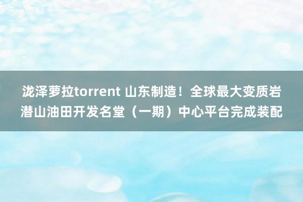 泷泽萝拉torrent 山东制造！全球最大变质岩潜山油田开发名堂（一期）中心平台完成装配