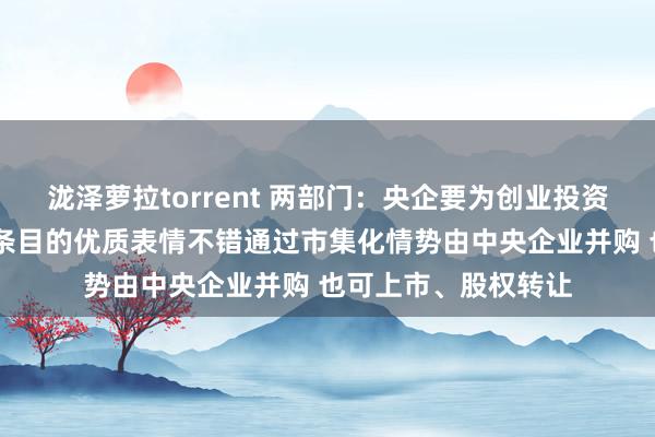 泷泽萝拉torrent 两部门：央企要为创业投资企业提供相沿 适合条目的优质表情不错通过市集化情势由中央企业并购 也可上市、股权转让