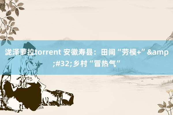 泷泽萝拉torrent 安徽寿县：田间“劳模+”&#32;乡村“冒热气”