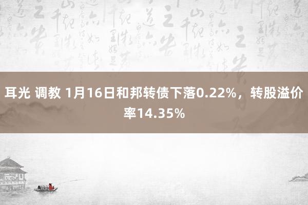 耳光 调教 1月16日和邦转债下落0.22%，转股溢价率14.35%